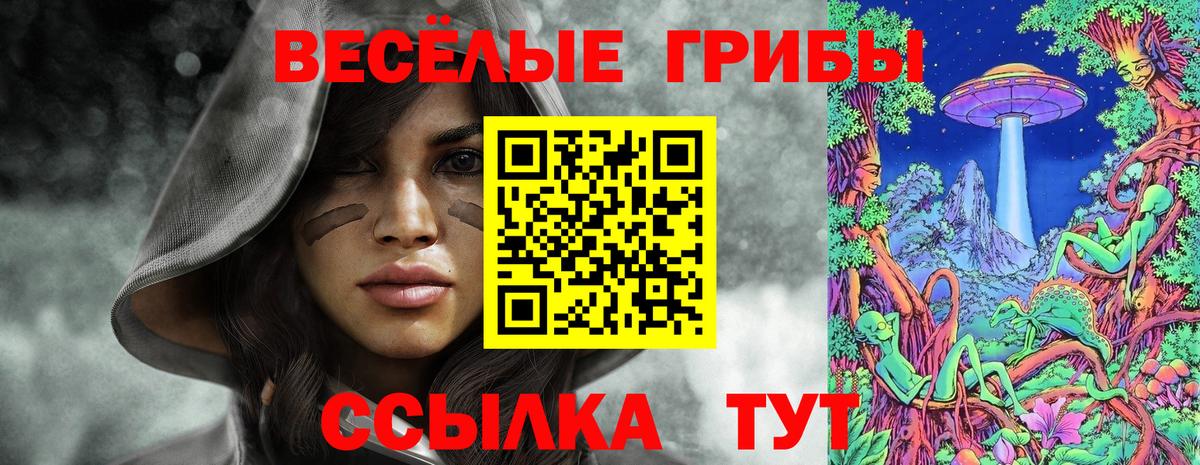 Галлюциногенные грибы GOLDEN TEACHER  Вход с VPN  Вятские Поляны 